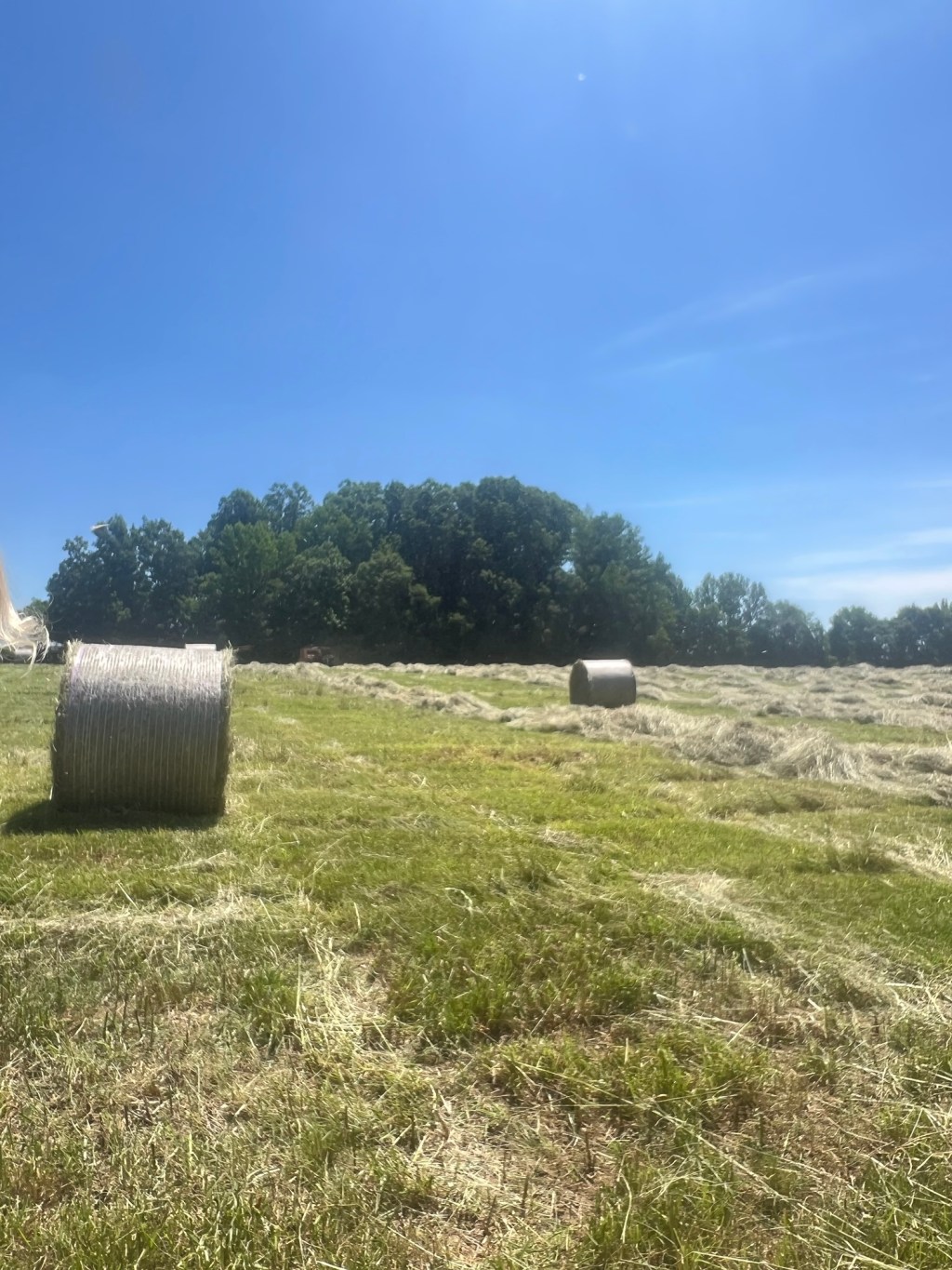 Faith in the&nbsp;hayfield