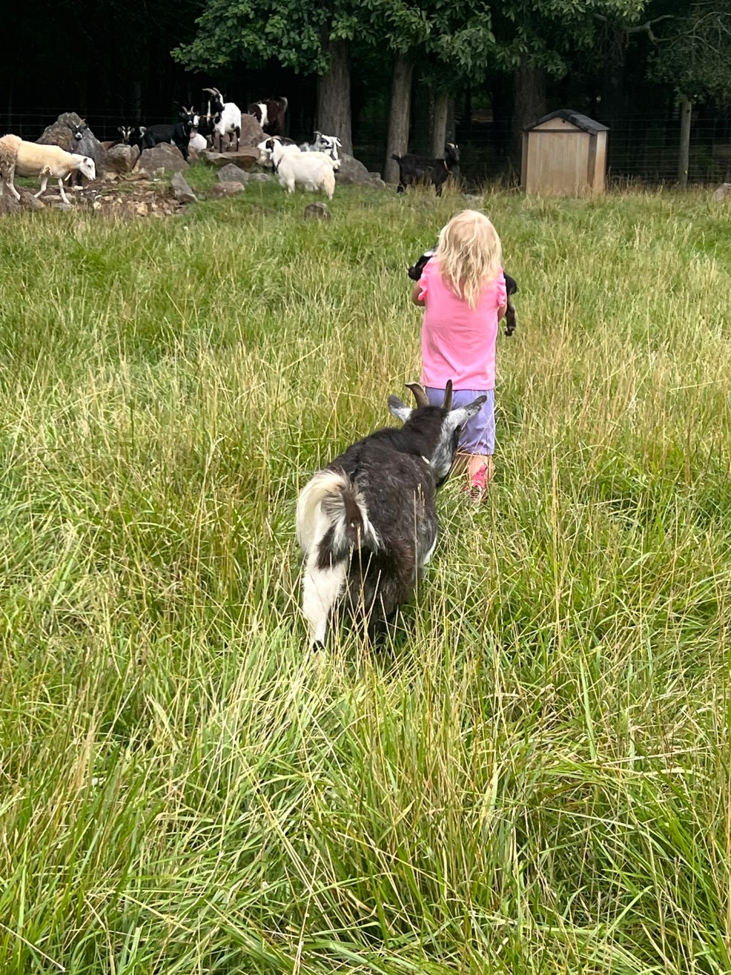 When Life’s Timelines Don’t Match