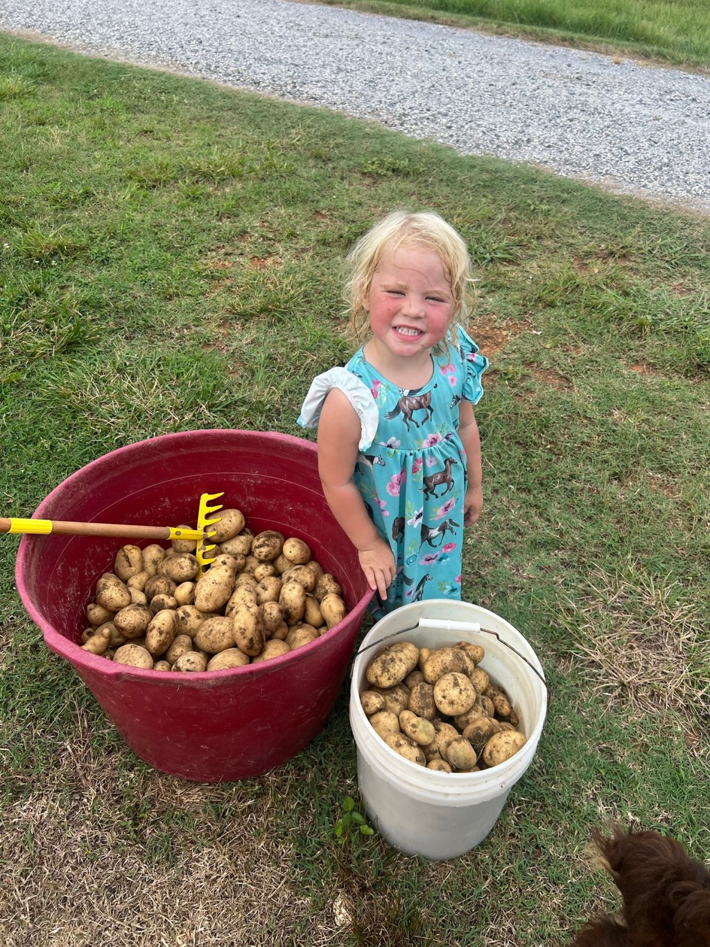 Summer Suppers: When It’s Too Hot to Care but You Still Gotta&nbsp;Eat