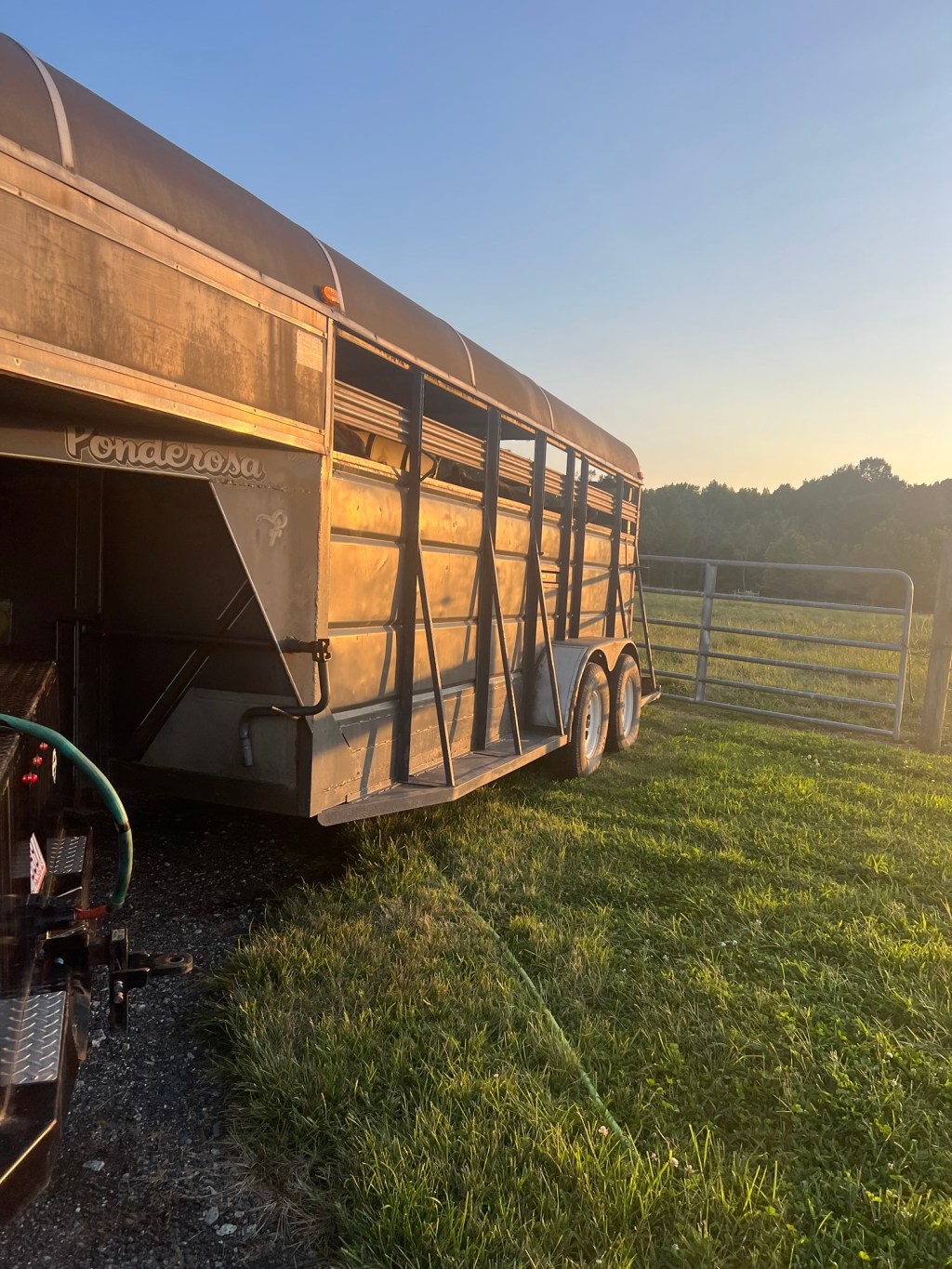 Small Wins, Big Growth