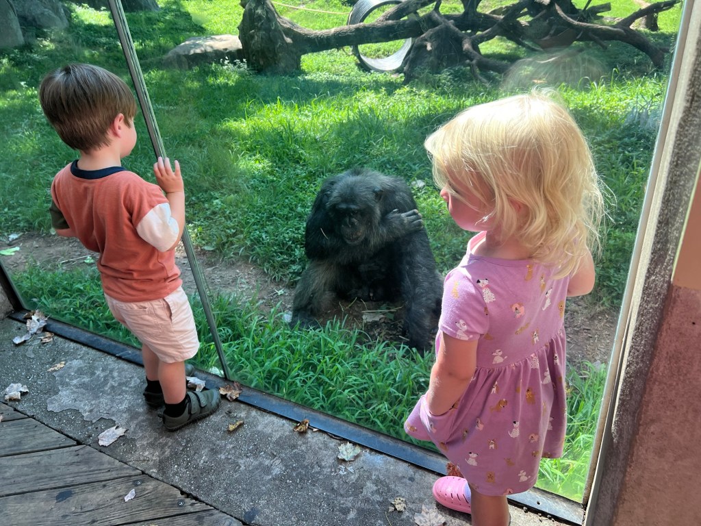 The Great Zoo Playdate: Where Kids Run and Moms Reconnect