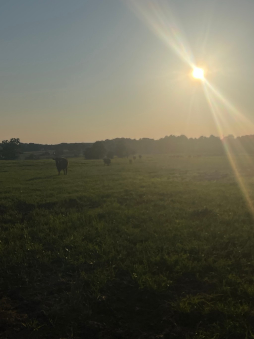 Stronger Together, despite&nbsp;disagreement