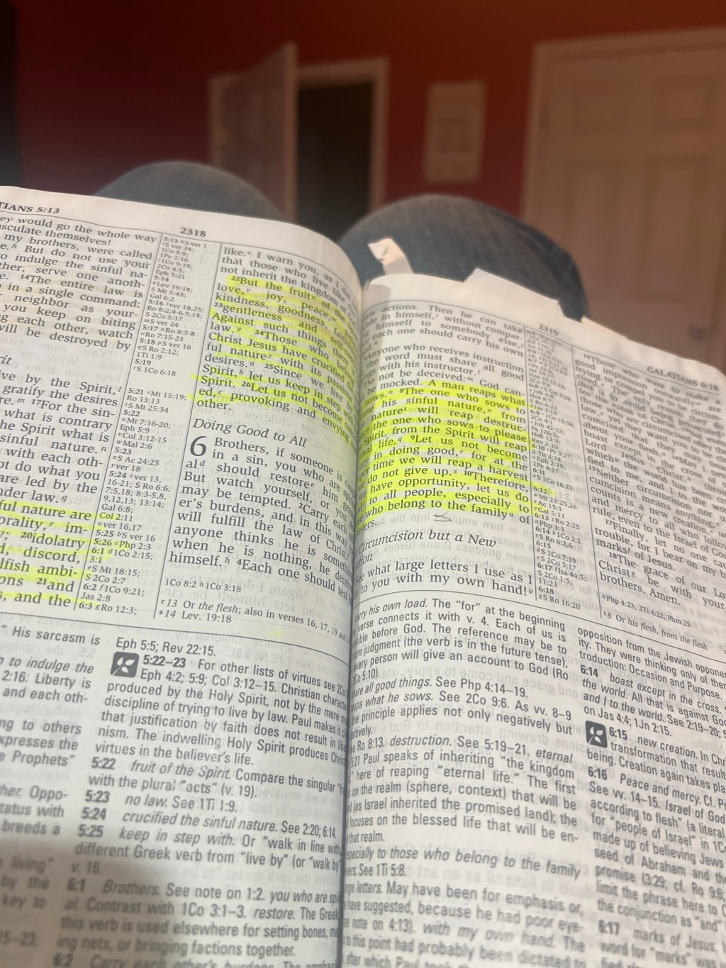 🌿 The Faithful Home – Week 3