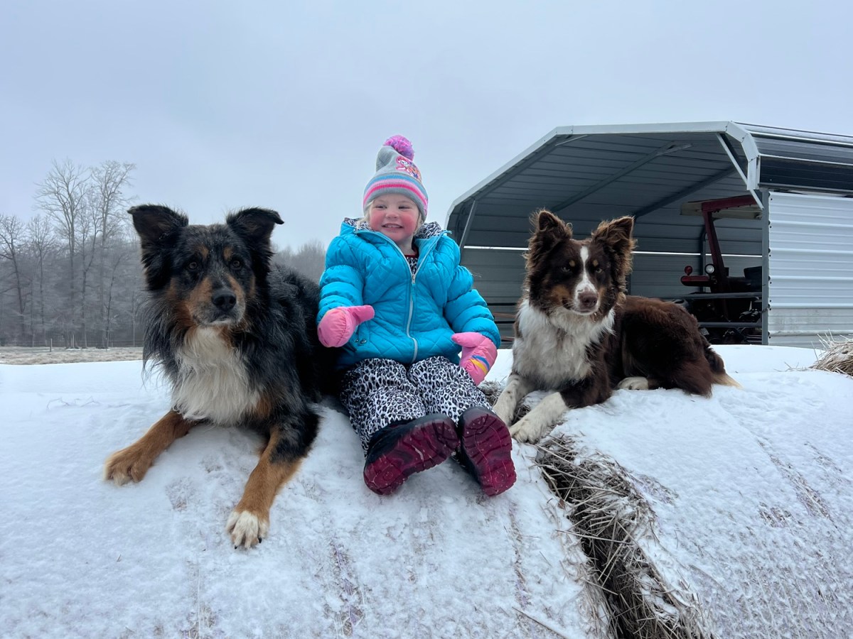 Snowed In, Slowed Down, and&nbsp;Grateful