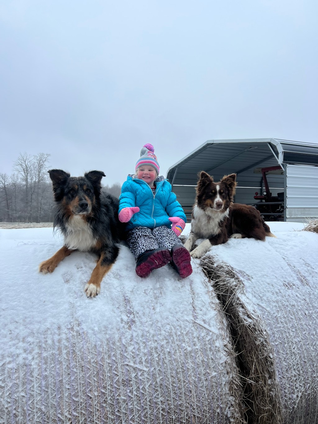 Snowed In, Slowed Down, and&nbsp;Grateful